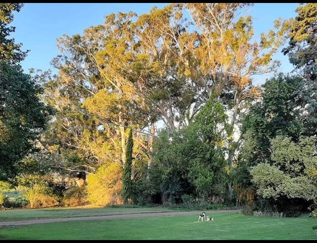 FARM FOR SALE IN QUEENSTOWN RURAL
